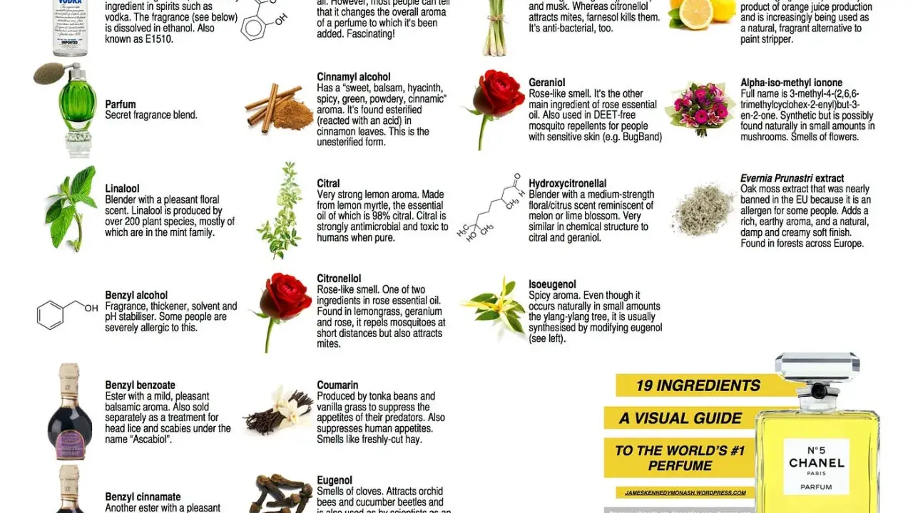 Linalool, z rodziny mięty, o przyjemnym kwiatowym zapachu, jest składnikiem wielu perfum.